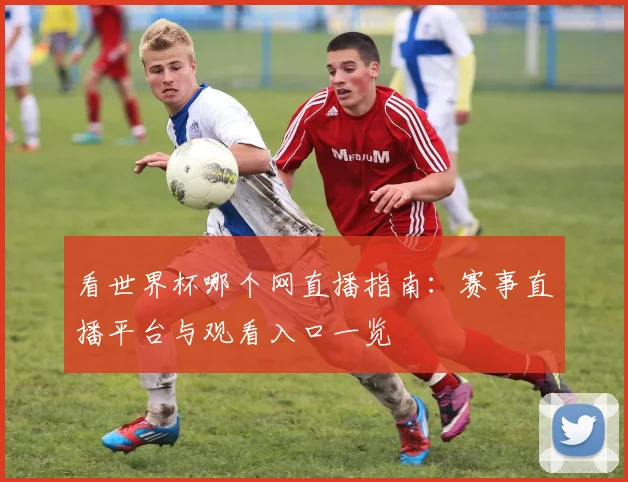 看世界杯哪个网直播指南：赛事直播平台与观看入口一览