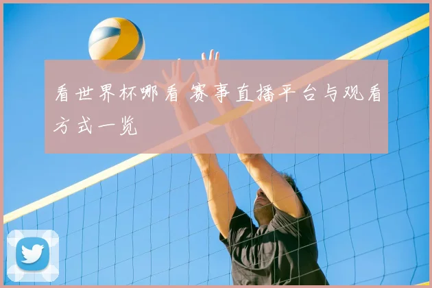 看世界杯哪看 赛事直播平台与观看方式一览