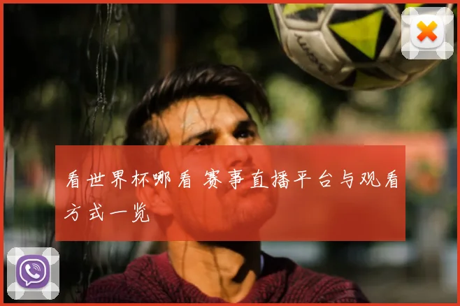 看世界杯哪看 赛事直播平台与观看方式一览